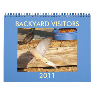DE BEZOEKERS VAN DE BINNENPLAATS KALENDER