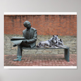 De bezoekers van vandaag waren echte wolven. poster