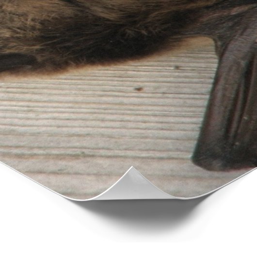 De biet die snel kon ontbijten poster (Hoek)