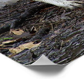 De Big Bad Wolf Poster (Hoek)