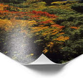 De Big Carp rivier in het najaar in Porcupine Foto Afdruk (Hoek)