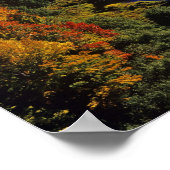 De Big Carp rivier in het najaar in Porcupine Poster (Hoek)