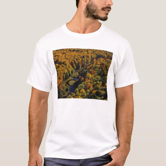De Big Carp rivier in het najaar in Porcupine T-shirt (Voorkant)