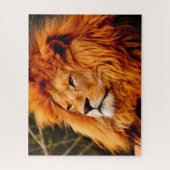 De Big Cats Lions Legpuzzel (Verticaal)