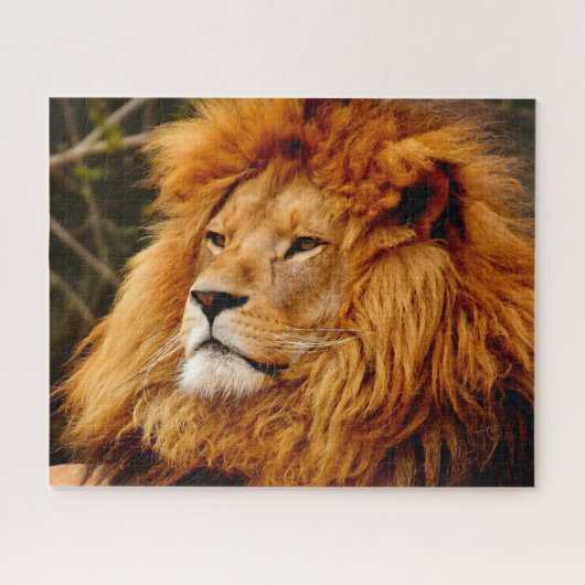 De Big Cats Lions Legpuzzel (Horizontaal)