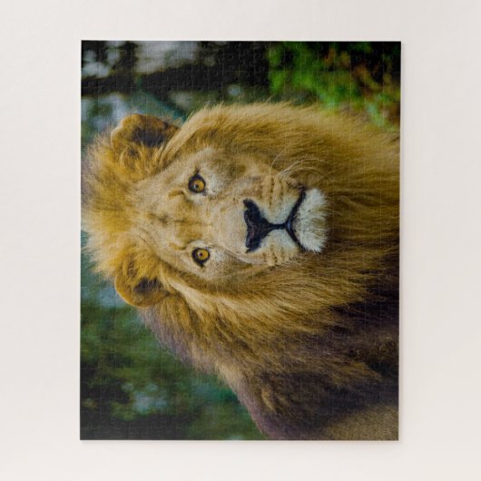 De Big Cats Lions. Legpuzzel (Verticaal)