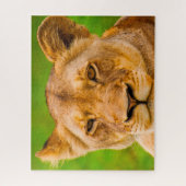 De Big Cats Lions. Legpuzzel (Verticaal)
