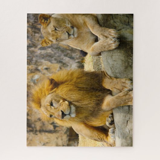De Big Cats Lions. Legpuzzel (Verticaal)
