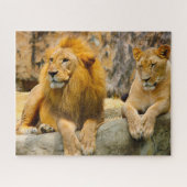 De Big Cats Lions. Legpuzzel (Horizontaal)