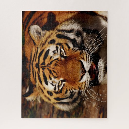 De Big Cats Lions. Legpuzzel (Verticaal)