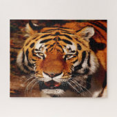 De Big Cats Lions. Legpuzzel (Horizontaal)