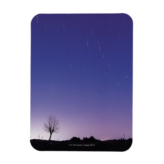 De Big Dipper Magneet (Verticaal)
