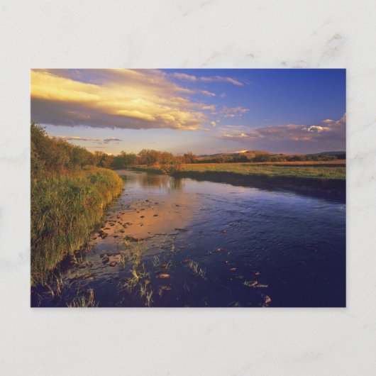 De Big Hole rivier bij eindelijk licht bij Jackson Briefkaart (Voorkant)