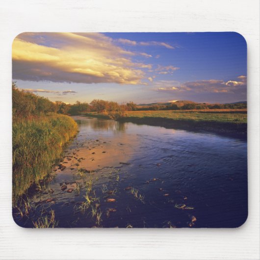 De Big Hole-rivier bij het laatste licht bij Jacks Muismat (Voorkant)