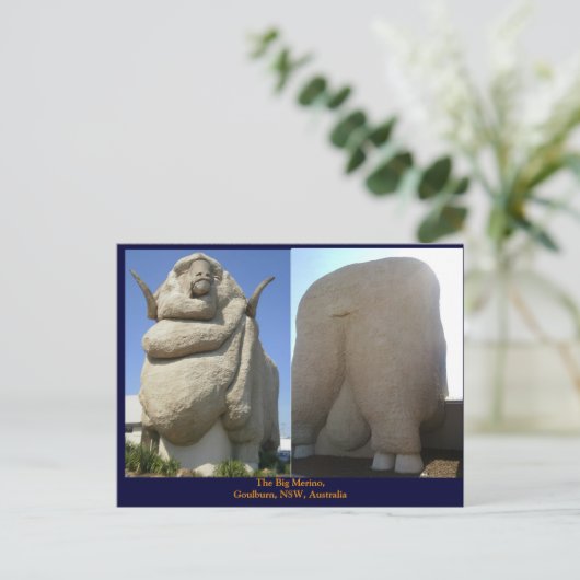 De Big Merino Briefkaart (Staand voorkant)