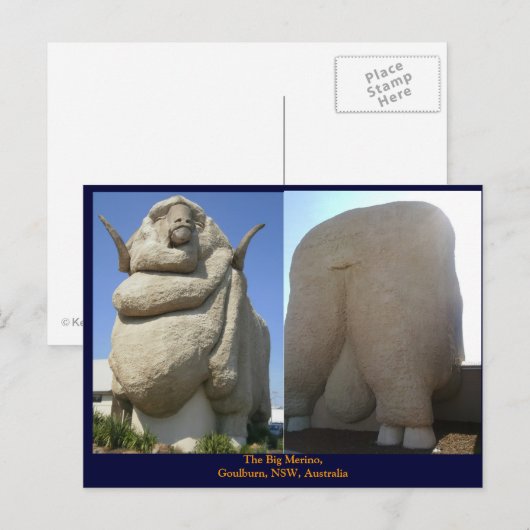 De Big Merino Briefkaart (Voorkant / Achterkant)