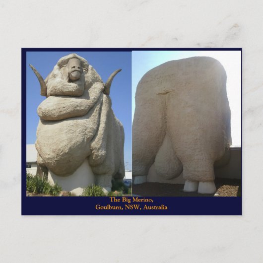 De Big Merino Briefkaart (Voorkant)