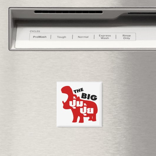 DE BIG PUM PUI = Vat in de Thaise taal Magneet (Insitu (Vaatwasser))