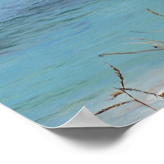 De Big Sur Poster (Hoek)