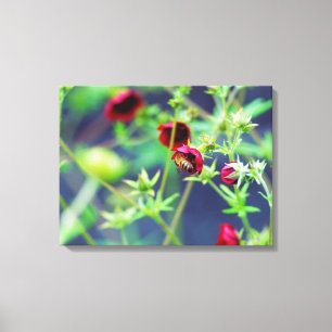 De bij met de rode ventilator canvas afdruk
