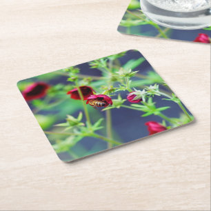 De bij met de rode ventilator kartonnen onderzetters