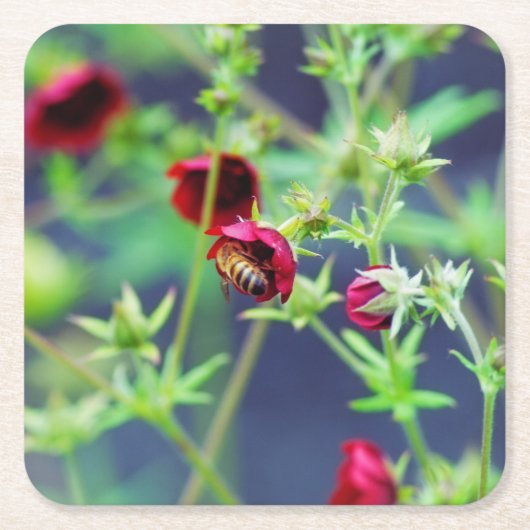 De bij met de rode ventilator kartonnen onderzetters (Voorkant)