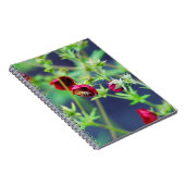 De bij met de rode ventilator notitieboek (Rechterzijde)