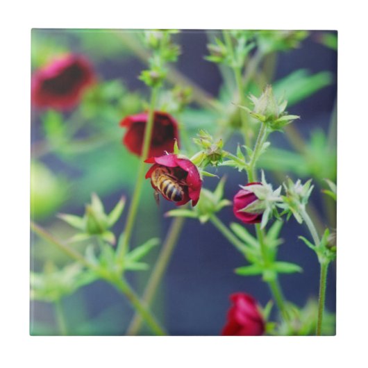 De bij met de rode ventilator tegeltje (Voorkant)