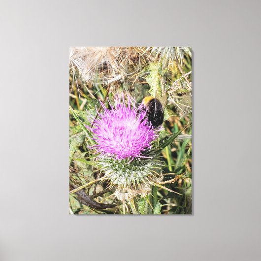 De bij op de paarse dikke. canvas afdruk (Voorkant)