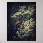 De bij poster (Voorkant)