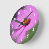 De Bij van de honing op de Bloem van de Kosmos Ronde Klok (Hoek)