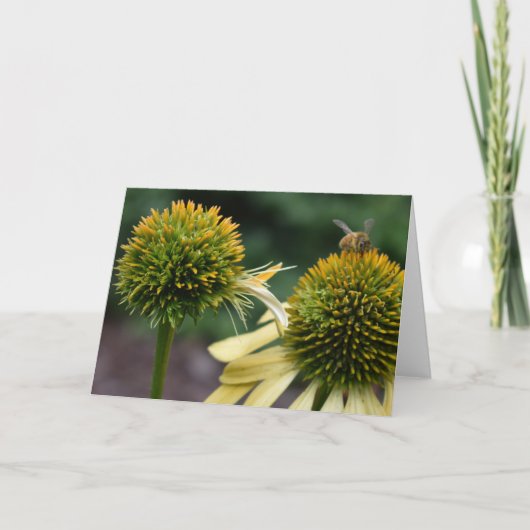 De Bij van de honing op Wenskaart Coneflower Kaart (Voorkant)