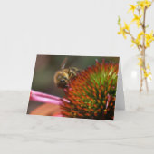 De Bij van de honing op Wenskaart Coneflower Kaart (Gele Bloem)