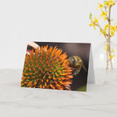 De Bij van de honing op Wenskaart Coneflower Kaart (Gele Bloem)