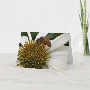 De Bij van de honing op Wenskaart Coneflower Kaart