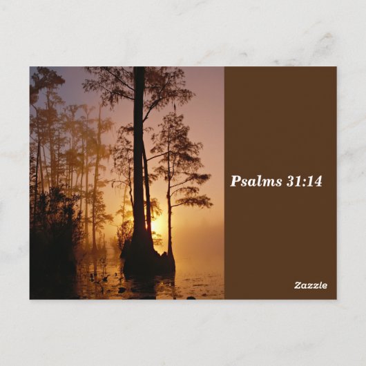 De Bijbel Verse Psalm 31:14 Mijn Tijden zijn in uw Briefkaart (Achterkant)