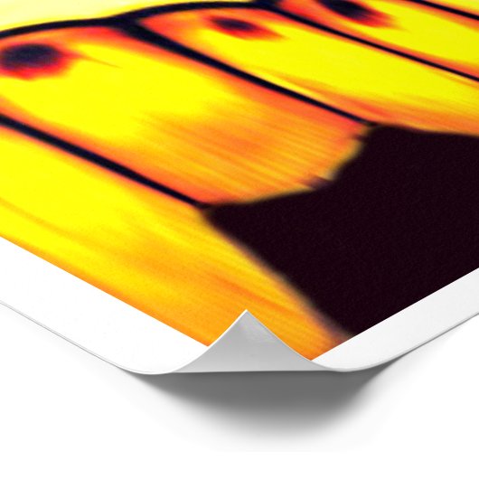 de bijeenkomst poster (Hoek)