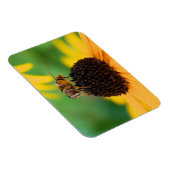 De bijen van de zomer - Daisy Magnet Magneet (Rechterzijde)