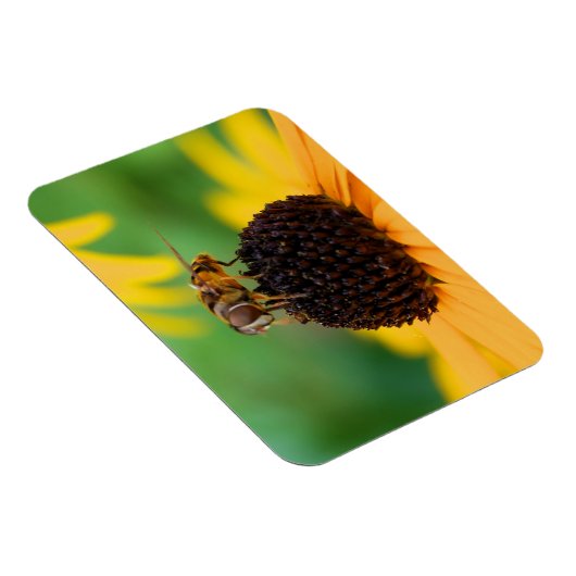 De bijen van de zomer - Daisy Magnet Magneet (Rechterzijde)