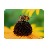 De bijen van de zomer - Daisy Magnet Magneet (Horizontaal)