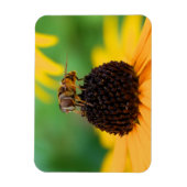 De bijen van de zomer - Daisy Magnet Magneet (Verticaal)