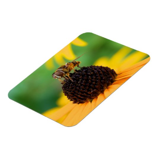 De bijen van de zomer - Daisy Magnet Magneet (Linkerzijde)