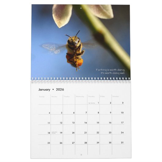 De Bijenkalender 2024 Honing en Bumble Bees Kalender (Jan 2026)