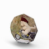 De  Biker  - Hond    - Fotoblokken (Rechts)
