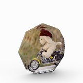 De  Biker  - Hond    - Fotoblokken (Links)
