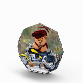 De  Biker  - Teddy   - Fotoblokken (Rechts)