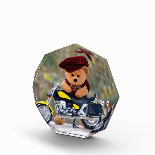 De  Biker  - Teddy   - Fotoblokken (Rechts)
