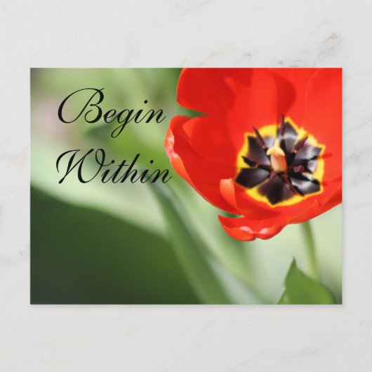 De binnenste Tulp-fotografie Briefkaart (Voorkant)