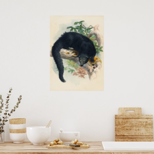 De Binturong van Joseph Wolf Poster (Keuken)