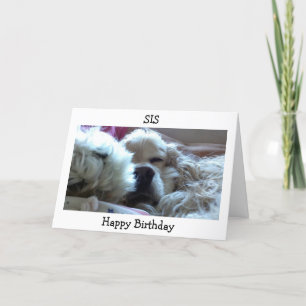 DE BIRTHDAY-SIS-NEEM NAP/DOE WANNEER U WIST KAART